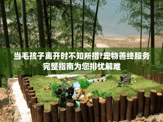 当毛孩子离开时不知所措?宠物善终服务完整指南为您排忧解难