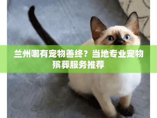 兰州哪有宠物善终？当地专业宠物殡葬服务推荐