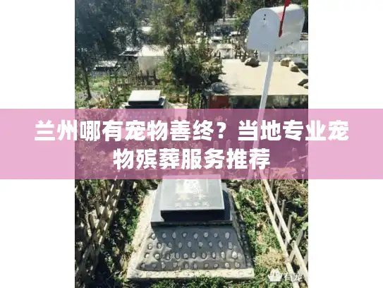 兰州哪有宠物善终？当地专业宠物殡葬服务推荐