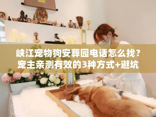 峡江宠物狗安葬园电话怎么找？宠主亲测有效的3种方式+避坑指南