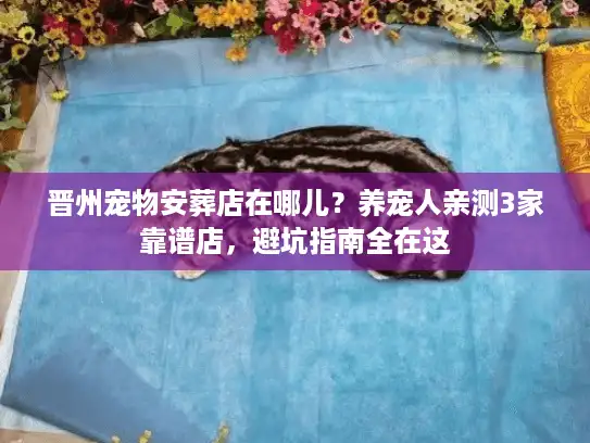 晋州宠物安葬店在哪儿？养宠人亲测3家靠谱店，避坑指南全在这
