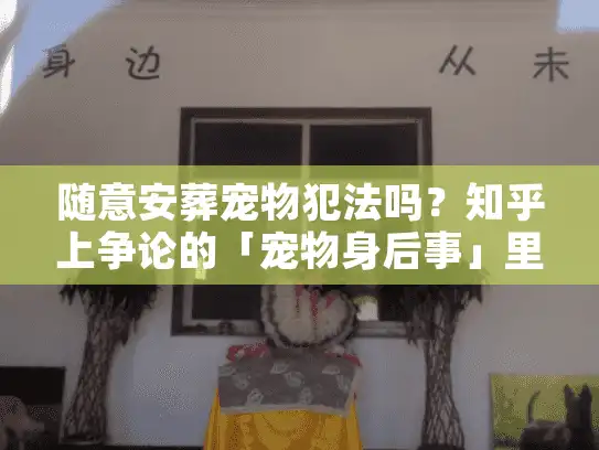 随意安葬宠物犯法吗？知乎上争论的「宠物身后事」里藏着你不知道的殡葬真相