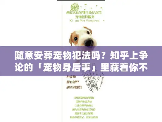 随意安葬宠物犯法吗？知乎上争论的「宠物身后事」里藏着你不知道的殡葬真相
