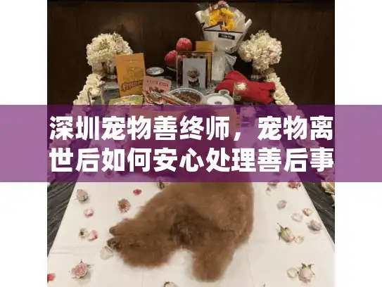 深圳宠物善终师，宠物离世后如何安心处理善后事宜？