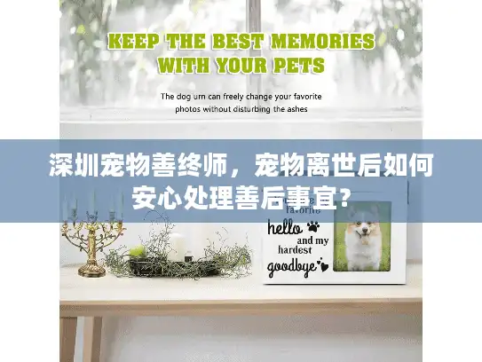 深圳宠物善终师，宠物离世后如何安心处理善后事宜？