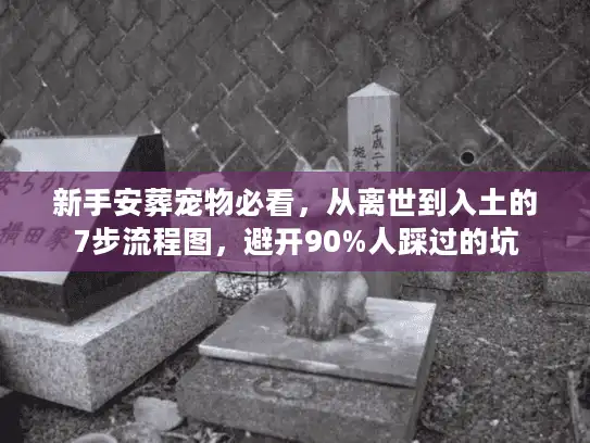 新手安葬宠物必看，从离世到入土的7步流程图，避开90%人踩过的坑