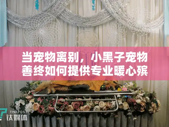当宠物离别，小黑子宠物善终如何提供专业暖心殡葬服务？