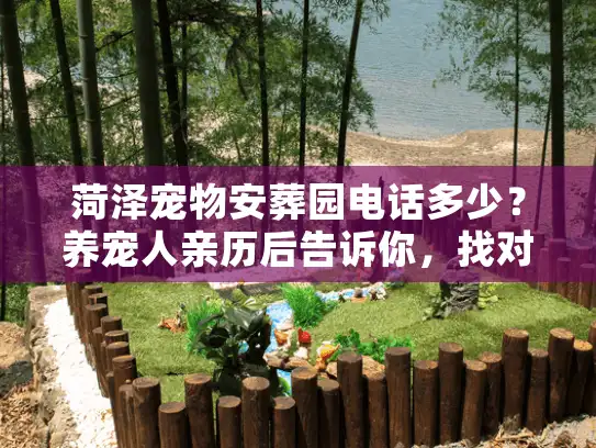 菏泽宠物安葬园电话多少？养宠人亲历后告诉你，找对机构比问号码更重要