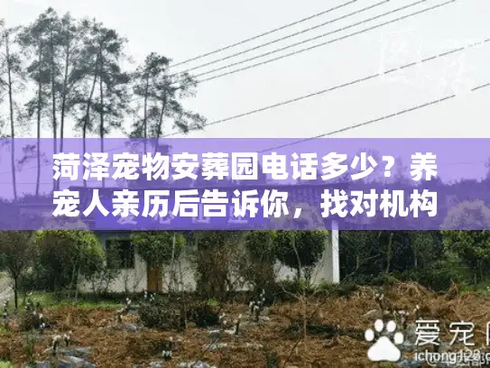 菏泽宠物安葬园电话多少？养宠人亲历后告诉你，找对机构比问号码更重要