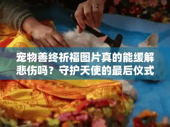 宠物善终祈福图片真的能缓解悲伤吗？守护天使的最后仪式指南