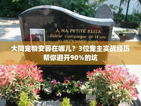 大同宠物安葬在哪儿？3位宠主实战经历帮你避开90%的坑