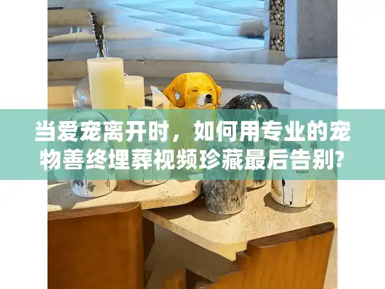 当爱宠离开时，如何用专业的宠物善终埋葬视频珍藏最后告别?