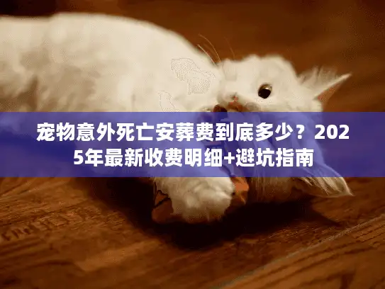 宠物意外死亡安葬费到底多少？2025年最新收费明细+避坑指南