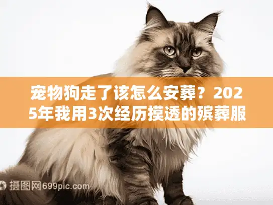 宠物狗走了该怎么安葬？2025年我用3次经历摸透的殡葬服务真相