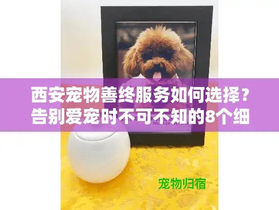 西安宠物善终服务如何选择？告别爱宠时不可不知的8个细节
