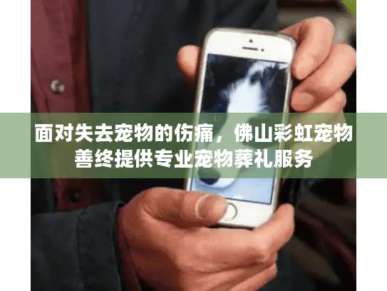 面对失去宠物的伤痛，佛山彩虹宠物善终提供专业宠物葬礼服务