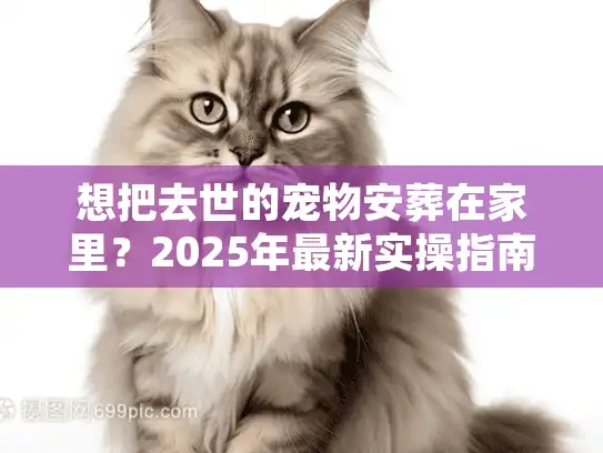 想把去世的宠物安葬在家里？2025年最新实操指南帮你避开90%的遗憾