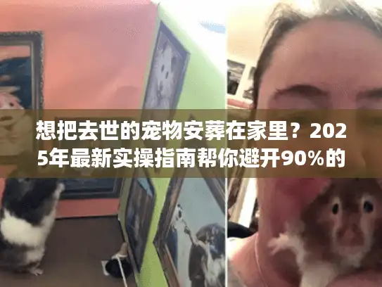 想把去世的宠物安葬在家里？2025年最新实操指南帮你避开90%的遗憾