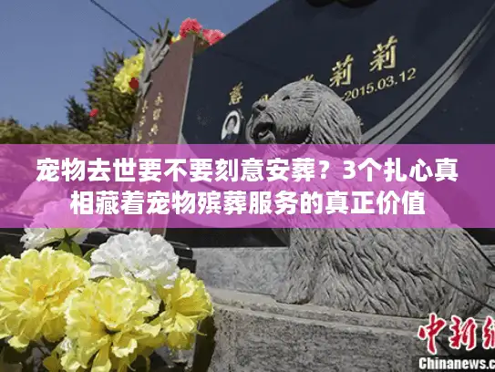 宠物去世要不要刻意安葬？3个扎心真相藏着宠物殡葬服务的真正价值