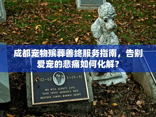 成都宠物殡葬善终服务指南，告别爱宠的悲痛如何化解？