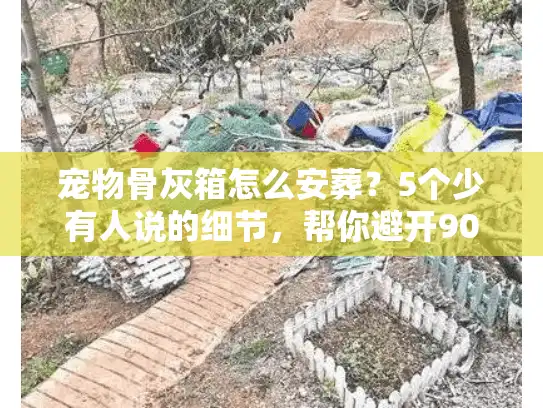 宠物骨灰箱怎么安葬？5个少有人说的细节，帮你避开90%的遗憾