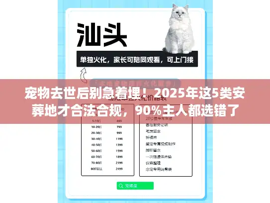 宠物去世后别急着埋！2025年这5类安葬地才合法合规，90%主人都选错了