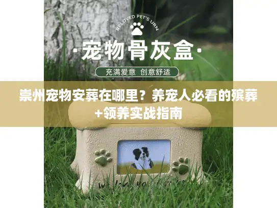 崇州宠物安葬在哪里？养宠人必看的殡葬+领养实战指南