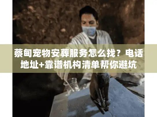 蔡甸宠物安葬服务怎么找？电话地址+靠谱机构清单帮你避坑