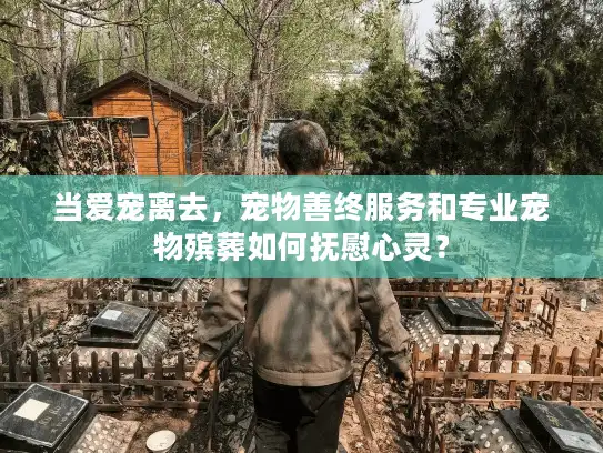当爱宠离去，宠物善终服务和专业宠物殡葬如何抚慰心灵？