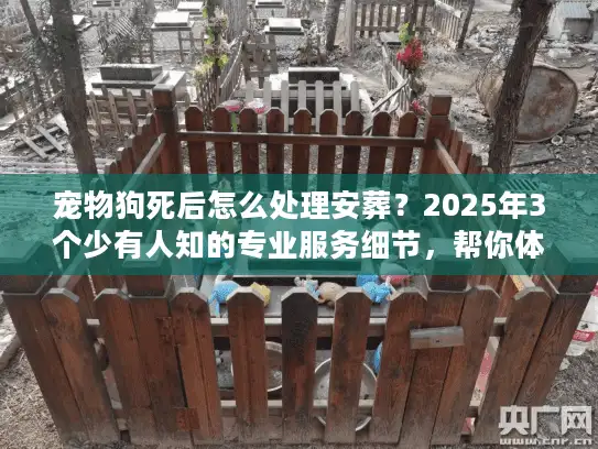 宠物狗死后怎么处理安葬？2025年3个少有人知的专业服务细节，帮你体面送它最后一程