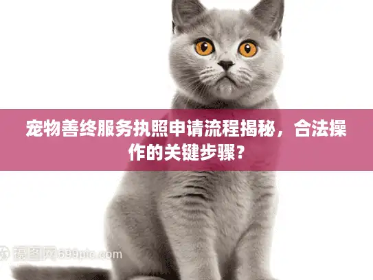 宠物善终服务执照申请流程揭秘，合法操作的关键步骤？