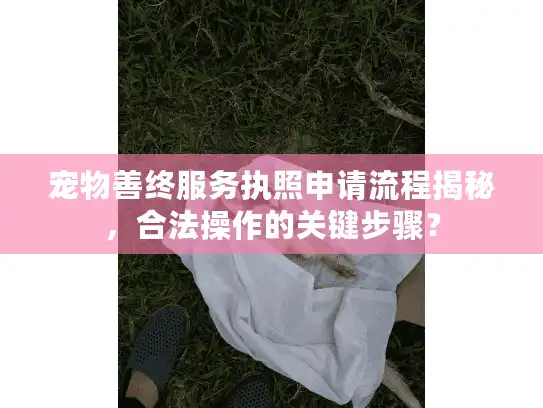 宠物善终服务执照申请流程揭秘，合法操作的关键步骤？