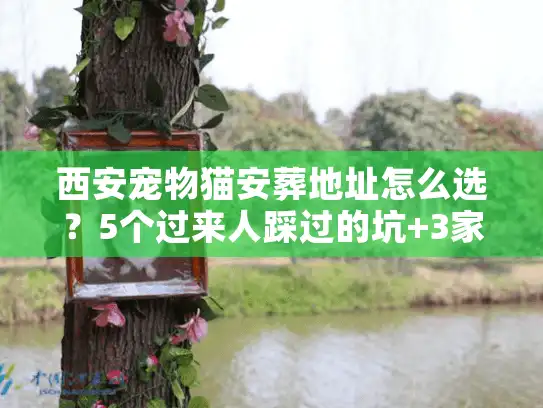 西安宠物猫安葬地址怎么选？5个过来人踩过的坑+3家靠谱机构实测分享