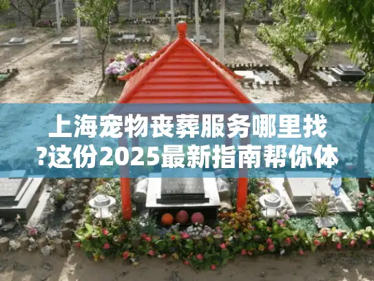 上海宠物丧葬服务哪里找?这份2025最新指南帮你体面告别爱宠