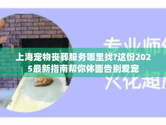 上海宠物丧葬服务哪里找?这份2025最新指南帮你体面告别爱宠