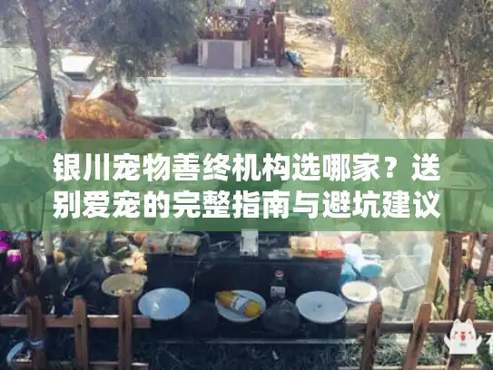银川宠物善终机构选哪家？送别爱宠的完整指南与避坑建议