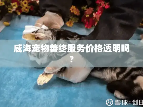 威海宠物善终服务价格透明吗?