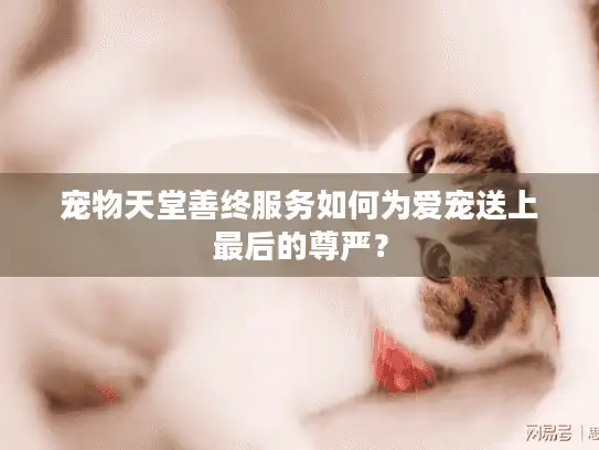 宠物天堂善终服务如何为爱宠送上最后的尊严？