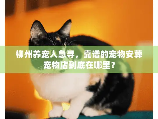 柳州养宠人急寻，靠谱的宠物安葬宠物店到底在哪里？