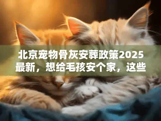 北京宠物骨灰安葬政策2025最新，想给毛孩安个家，这些红线绝对不能碰？