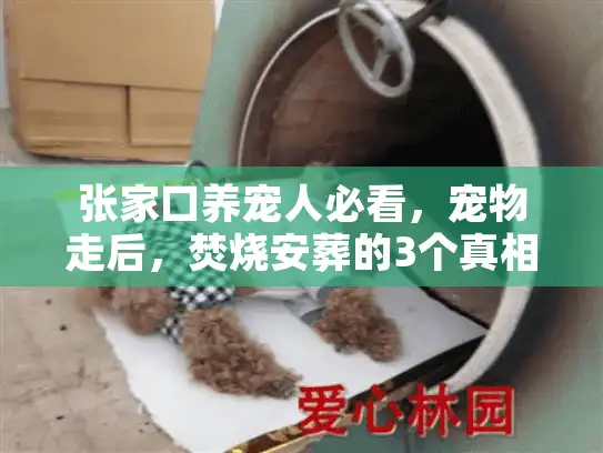 张家口养宠人必看，宠物走后，焚烧安葬的3个真相你知道吗？