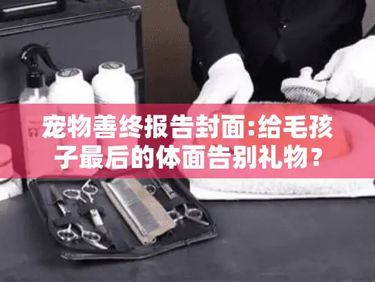 宠物善终报告封面:给毛孩子最后的体面告别礼物？
