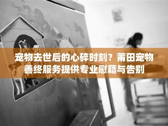 宠物去世后的心碎时刻？莆田宠物善终服务提供专业慰藉与告别