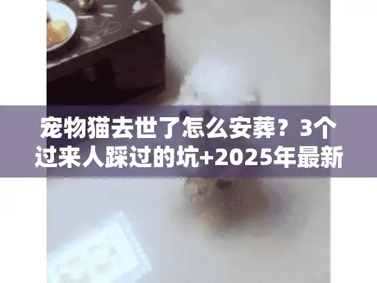 宠物猫去世了怎么安葬？3个过来人踩过的坑+2025年最新合规服务指南