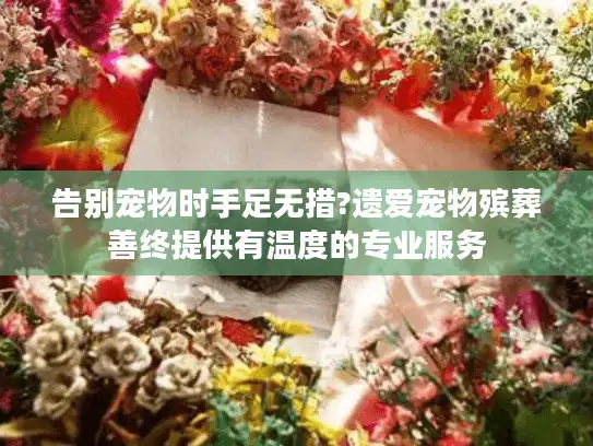 告别宠物时手足无措?遗爱宠物殡葬善终提供有温度的专业服务