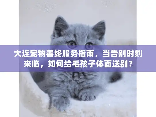 大连宠物善终服务指南，当告别时刻来临，如何给毛孩子体面送别？