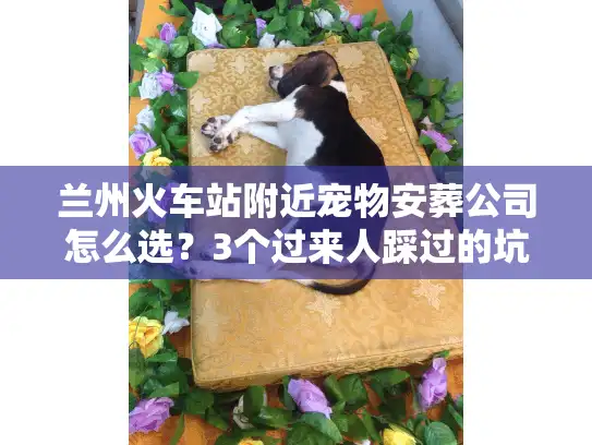 兰州火车站附近宠物安葬公司怎么选？3个过来人踩过的坑+1份靠谱清单