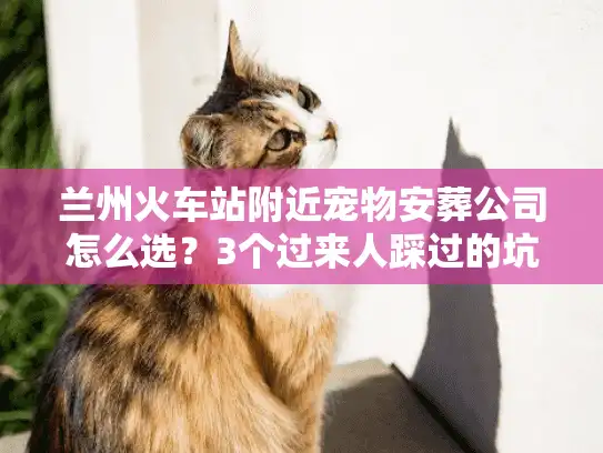 兰州火车站附近宠物安葬公司怎么选？3个过来人踩过的坑+1份靠谱清单