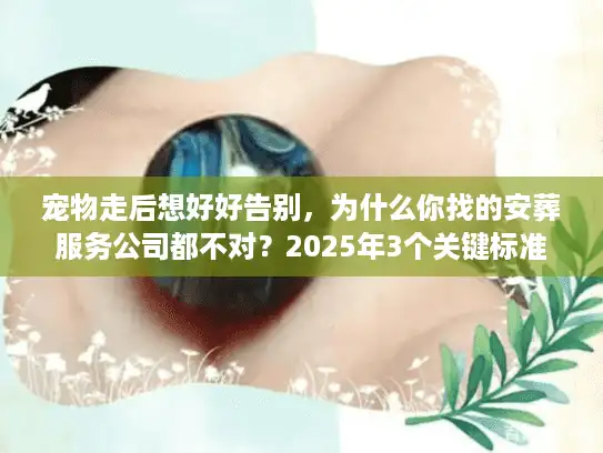 宠物走后想好好告别，为什么你找的安葬服务公司都不对？2025年3个关键标准帮你避坑