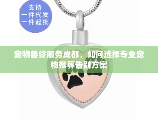 宠物善终服务成都，如何选择专业宠物殡葬告别方案